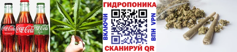 Canna-Cookies марихуана  Можга 