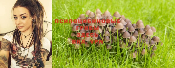 гидропоника Баксан